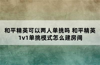 和平精英可以两人单挑吗 和平精英1v1单挑模式怎么建房间